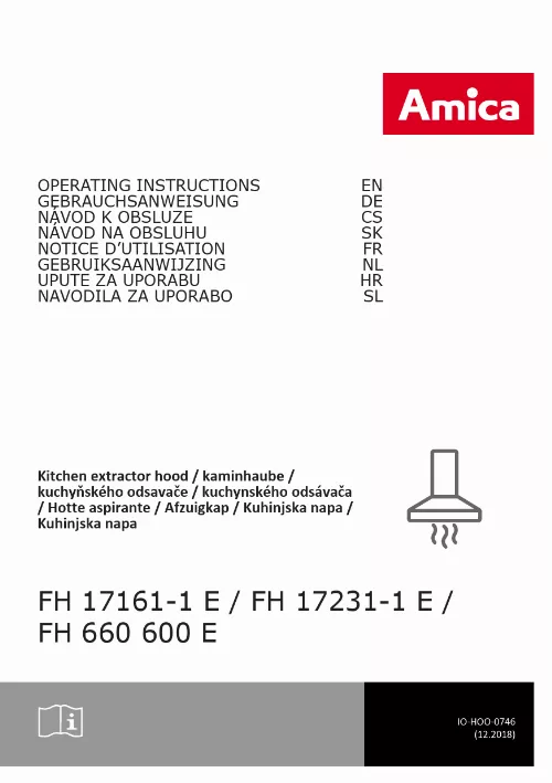 Mode d'emploi AMICA FH 17161-1 E