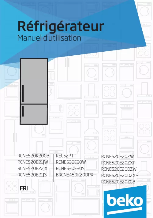 Mode d'emploi BEKO RCNE520E21