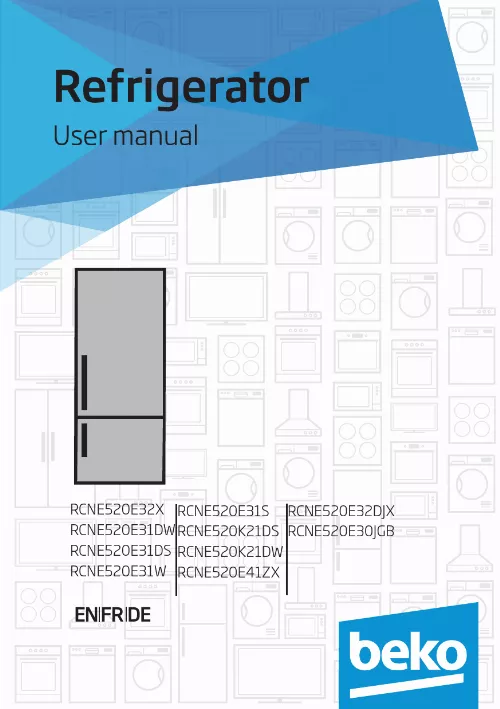 Mode d'emploi BEKO RCNE520E31D