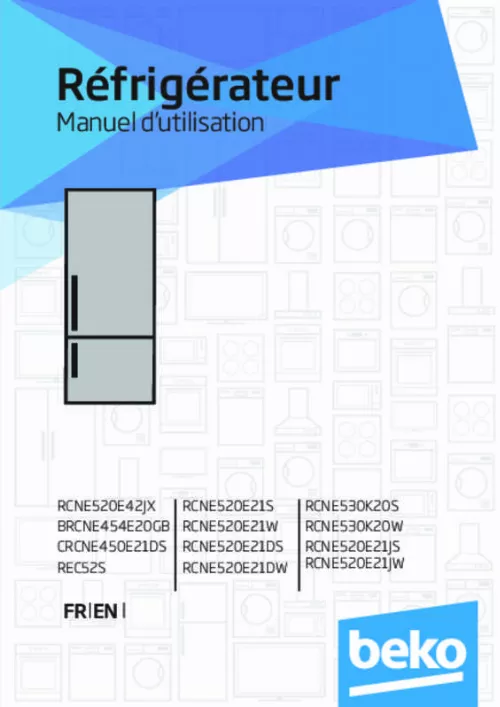 Mode d'emploi BEKO REC 52 S