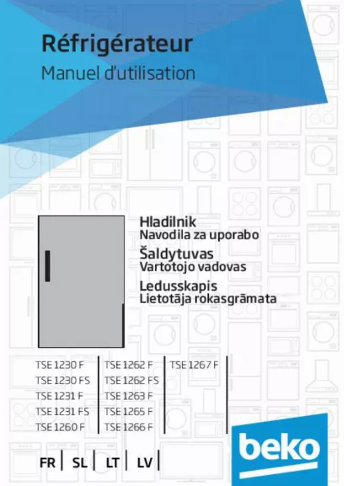 Mode d'emploi BEKO TSE1231