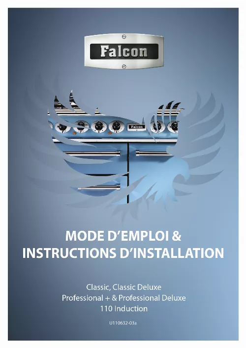 Mode d'emploi FALCON PROFESSIONAL 110 DELUXE INDUCTION