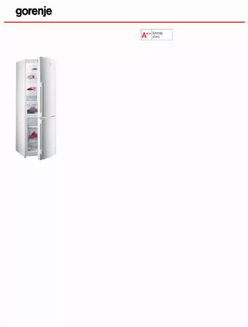 Mode d'emploi GORENJE RK69SYW