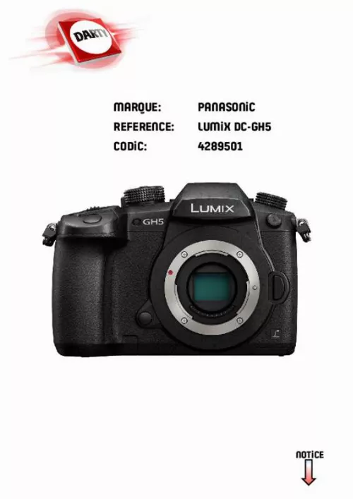 Mode d'emploi PANASONIC DC-GH5S