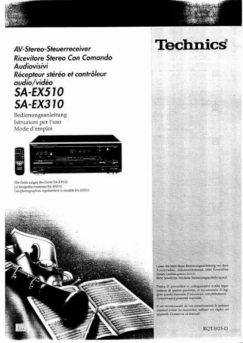 Mode d'emploi PANASONIC SAEX310