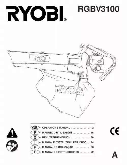 Mode d'emploi RYOBI RGBV3100