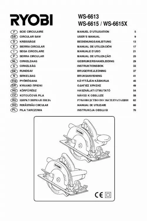 Mode d'emploi RYOBI WS-6613