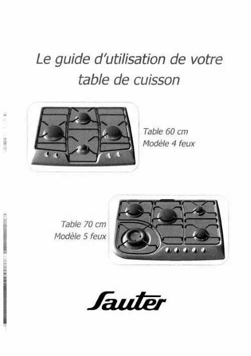 Mode d'emploi SAUTER T206X