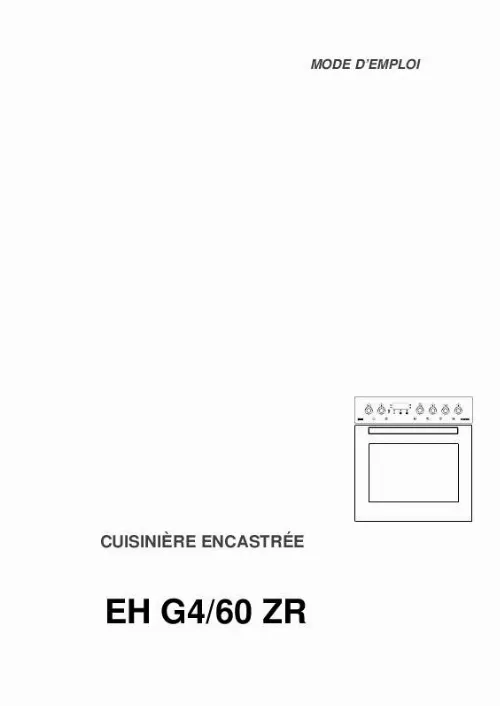 Mode d'emploi THERMA EHG4/60ZR SW