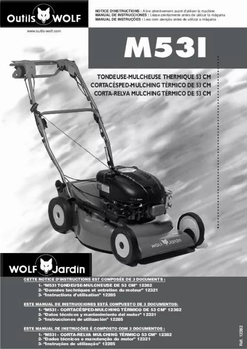 Mode d'emploi WOLF M53I