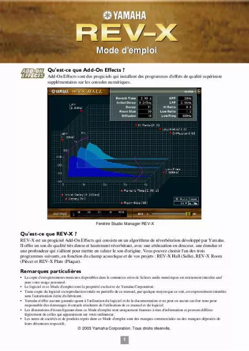 Mode d'emploi YAMAHA REV-X