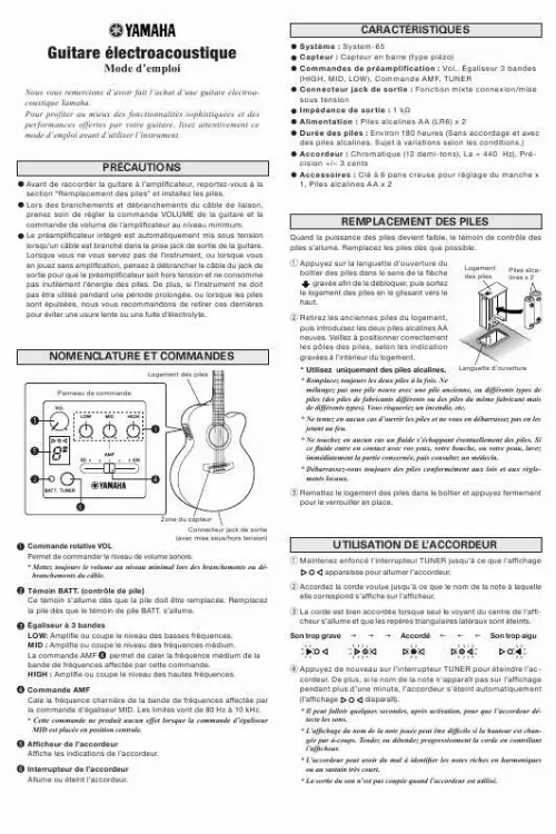 Mode d'emploi YAMAHA APX500IIFM